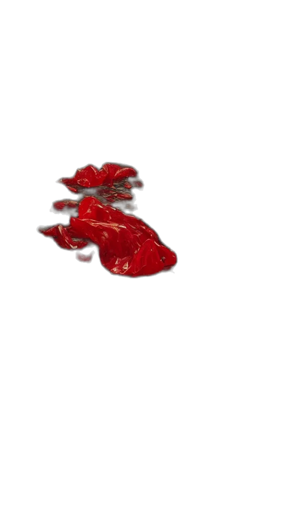 shoes, jewelry, food, crown, photorealistic, 3d render, pixel art, concept art transparent PNG cut-out