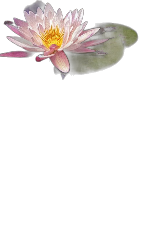 flower, crown, jewelry, staff transparent PNG cut-out