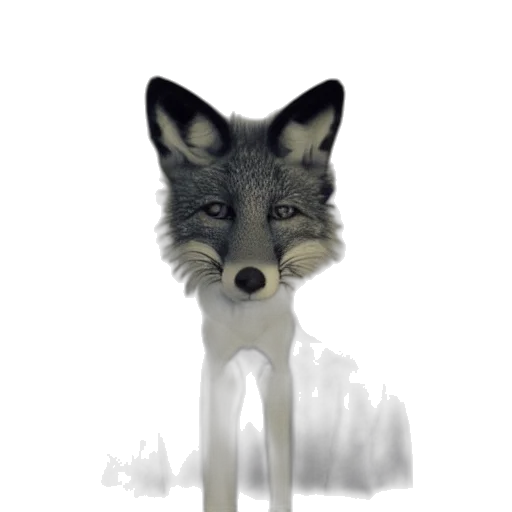 animal, staff, creature, mask transparent PNG cut-out
