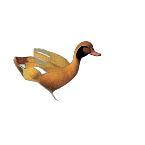 animal, creature, jewelry, food transparent PNG cut-out