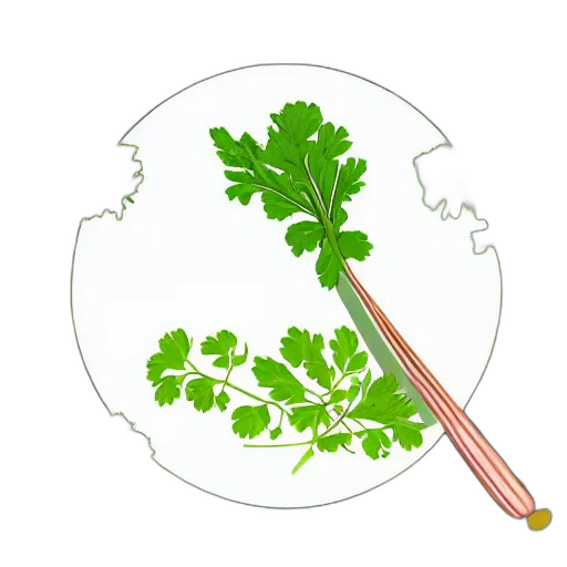 food, staff, photorealistic, concept art transparent PNG cut-out