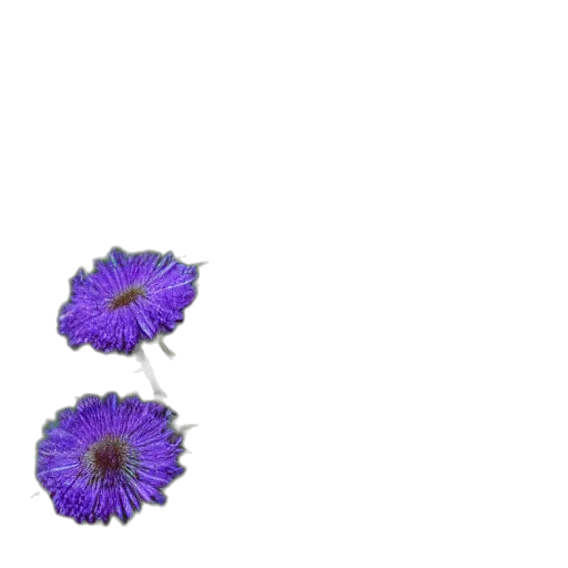 flower, crown, jewelry, weapon, 3d render, pixel art, photorealistic, vaporwave transparent PNG cut-out