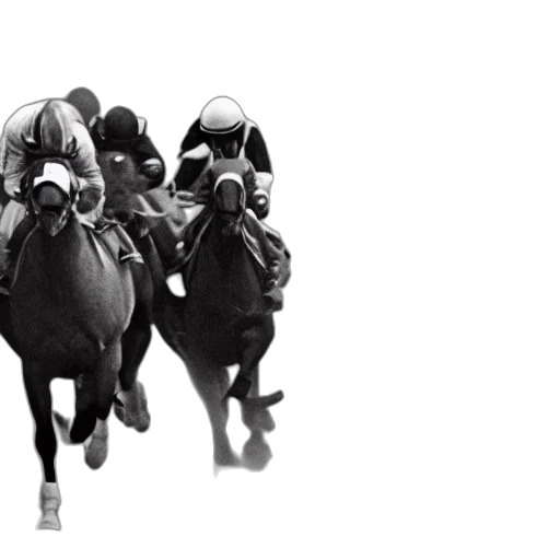 horses, racing, against, cars, heated, race, 1975, shot transparent PNG cut-out