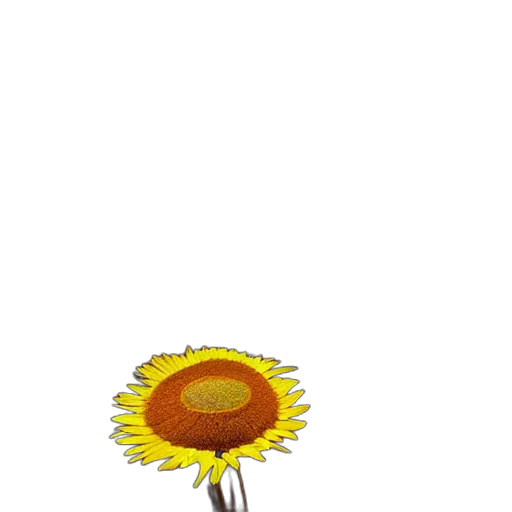 flower, umbrella, staff, jewelry, pixel art, 3d render, concept art, photorealistic transparent PNG cut-out