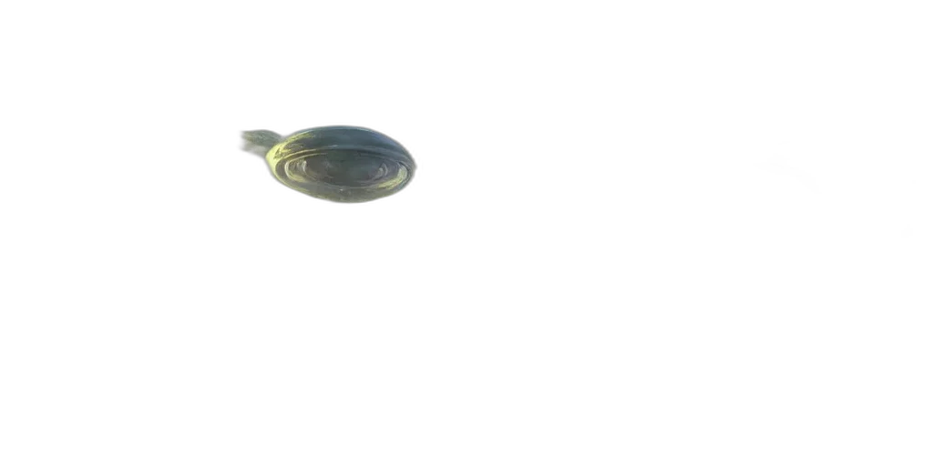 animal, food, jewelry, weapon, 3d render, photorealistic, concept art, underwater transparent PNG cut-out
