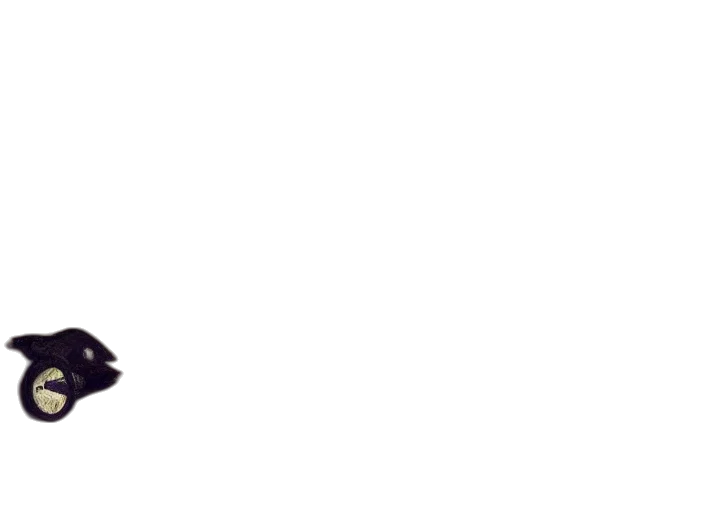 staff, hat, shoes, umbrella transparent PNG cut-out