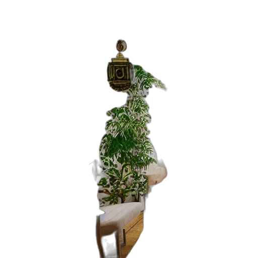 crown, staff, bottle, tree, 3d render, concept art, photorealistic, pixel art transparent PNG cut-out