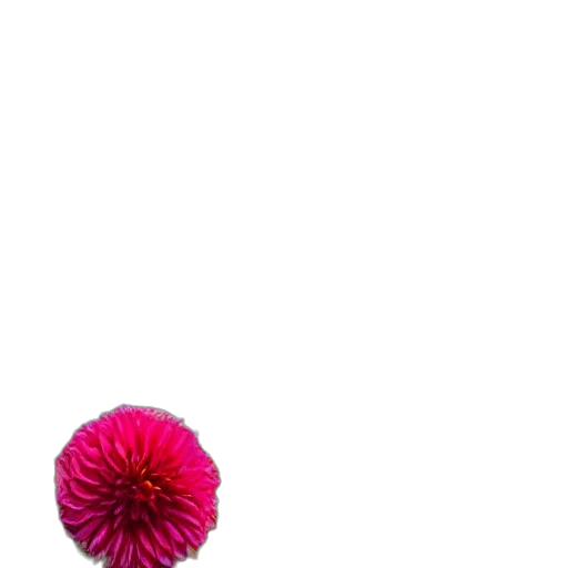 flower, umbrella, hair, staff, 3d render, photorealistic, pixel art, concept art transparent PNG cut-out