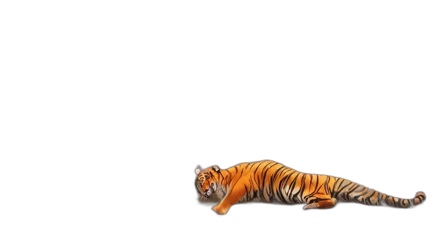 animal, creature, shoes, weapon transparent PNG cut-out