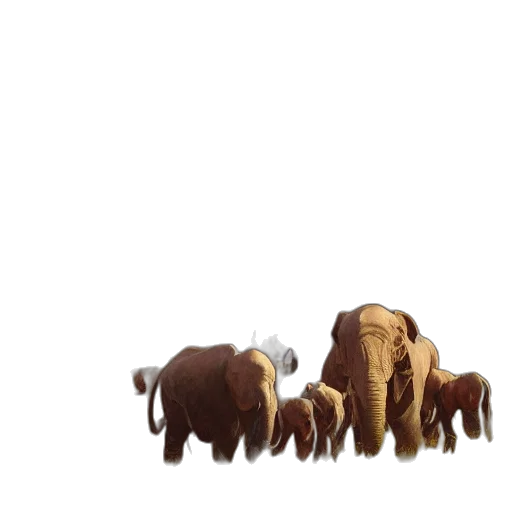 animal, creature, concept art, 3d render transparent PNG cut-out