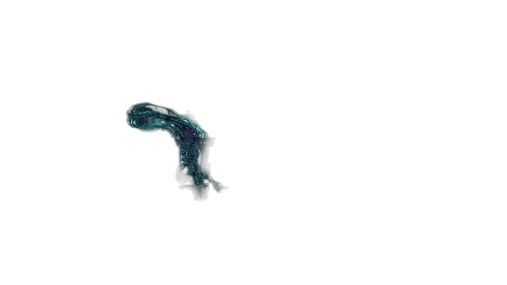 dragon, creature, animal, hair transparent PNG cut-out