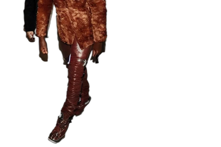 jacket, dress, creature, animal transparent PNG cut-out
