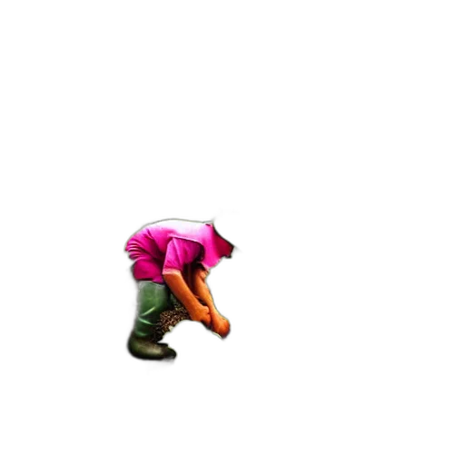 animal, creature, weapon, shoes transparent PNG cut-out