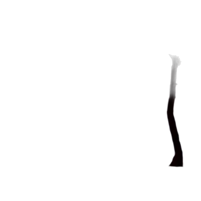 hair, staff, sword, weapon transparent PNG cut-out