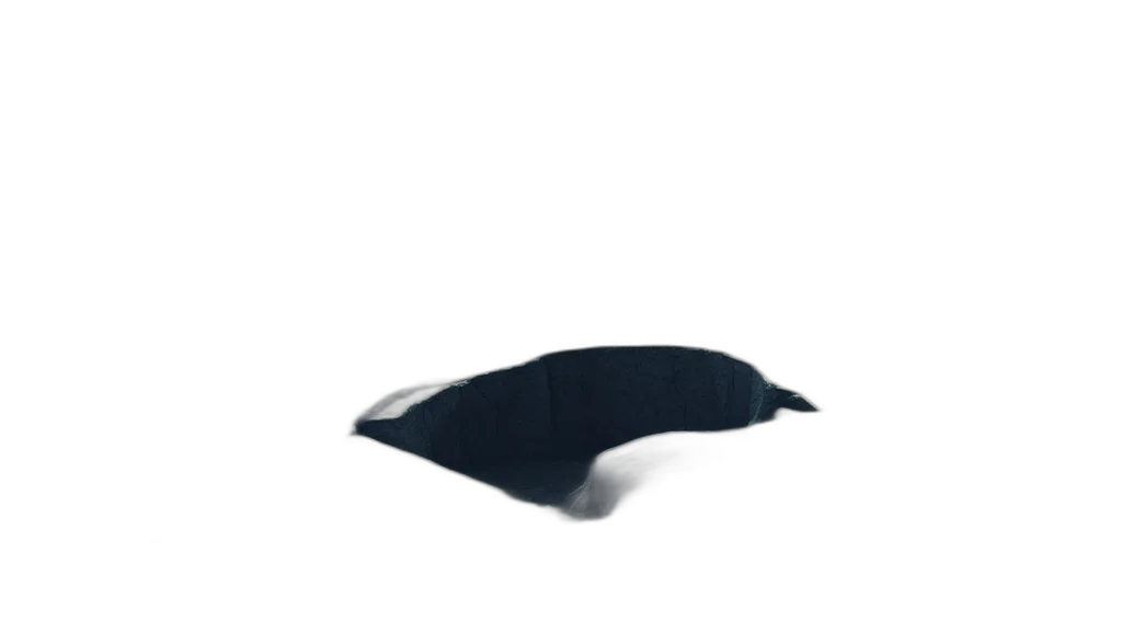 hat, mask, shoes, animal, 3d render, concept art, photorealistic, pixel art transparent PNG cut-out