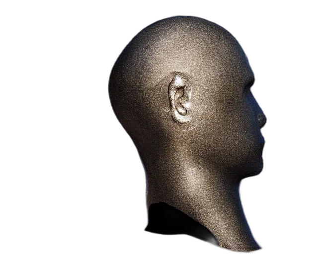 face, mask, hair, crown, 3d render, photorealistic, concept art, earth tones transparent PNG cut-out