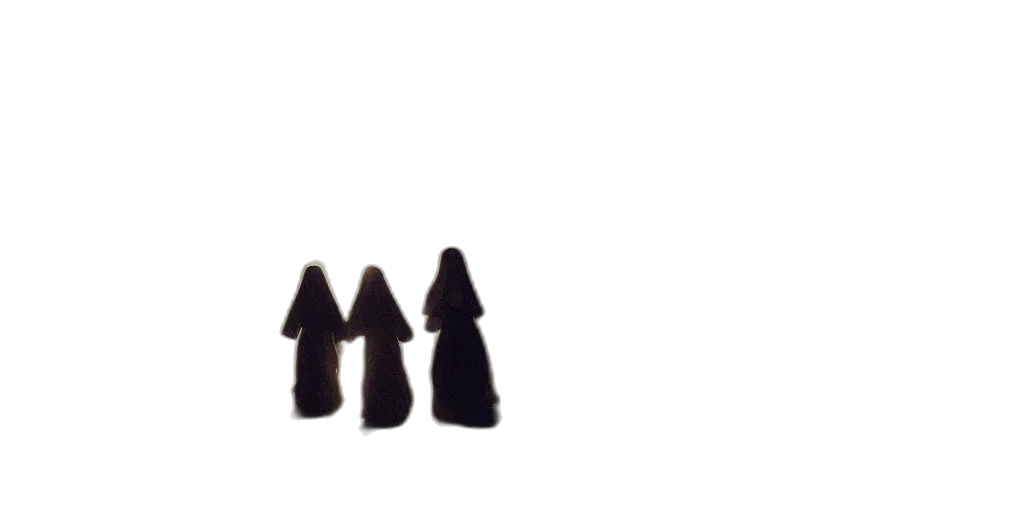 crown, jewelry, shoes, hair transparent PNG cut-out