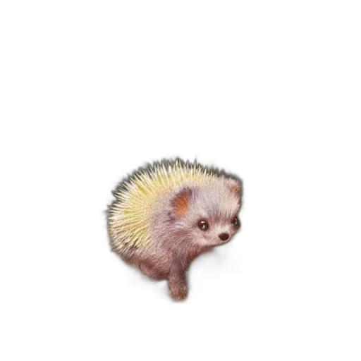 animal, creature, hair, hat, photorealistic, watercolor, 3d render, concept art transparent PNG cut-out