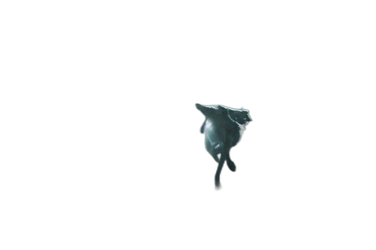 dragon, creature, animal, mask, 3d render, concept art, pixel art, photorealistic transparent PNG cut-out