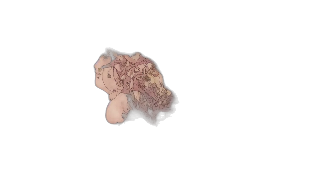 hair, creature, crown, flower transparent PNG cut-out