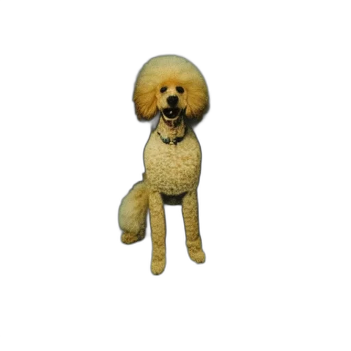 animal, creature, staff, hair transparent PNG cut-out