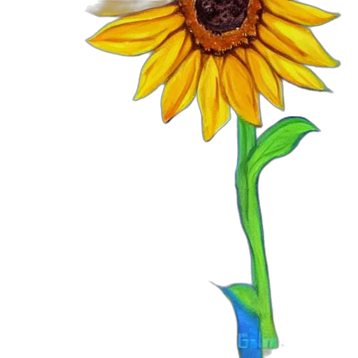 flower, staff, umbrella, weapon, 3d render, photorealistic, concept art, watercolor transparent PNG cut-out