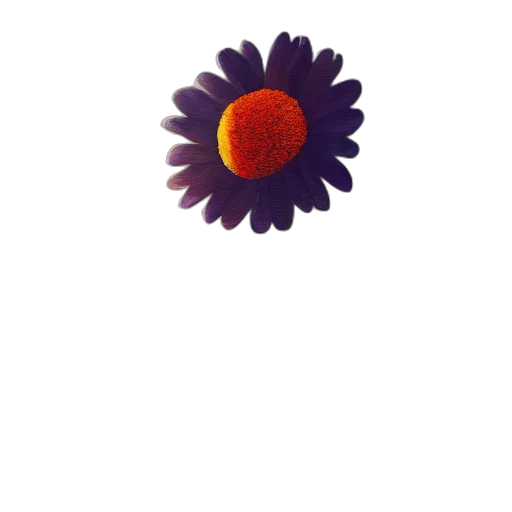 flower, crown, jewelry, staff transparent PNG cut-out