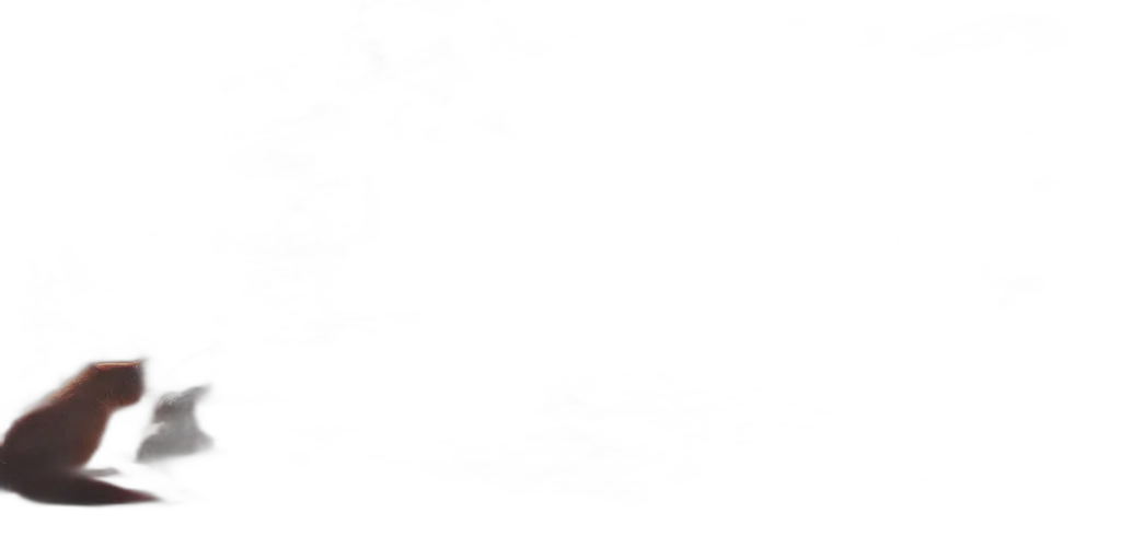 staff, face, shoes, sword transparent PNG cut-out