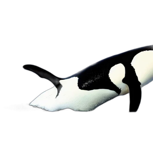animal, creature, weapon, mask, 3d render, concept art, photorealistic, penguin transparent PNG cut-out