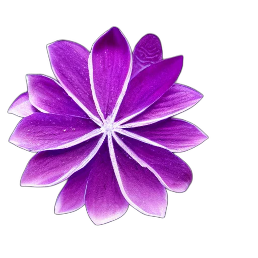 flower, jewelry, crown, umbrella transparent PNG cut-out