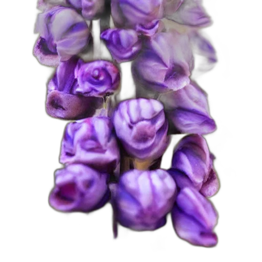 flower, crown, dress, jewelry transparent PNG cut-out