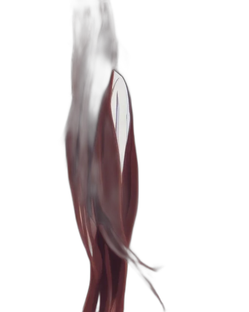hair, creature, shoes, dress, concept art, photorealistic, 3d render, watercolor transparent PNG cut-out