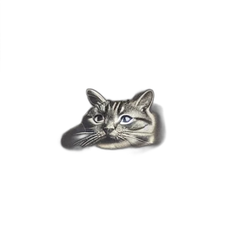 jewelry, animal, creature, shoes transparent PNG cut-out