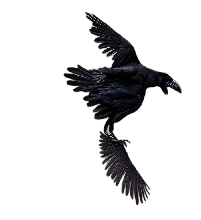 animal, creature, staff, dragon, photorealistic, concept art, 3d render, fantasy art transparent PNG cut-out