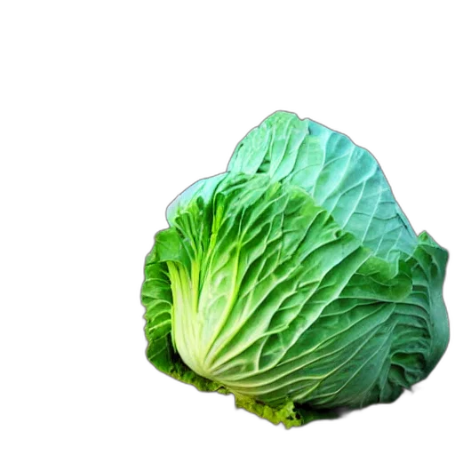 food, animal, weapon, face, photorealistic, 3d render, green, cabbage transparent PNG cut-out