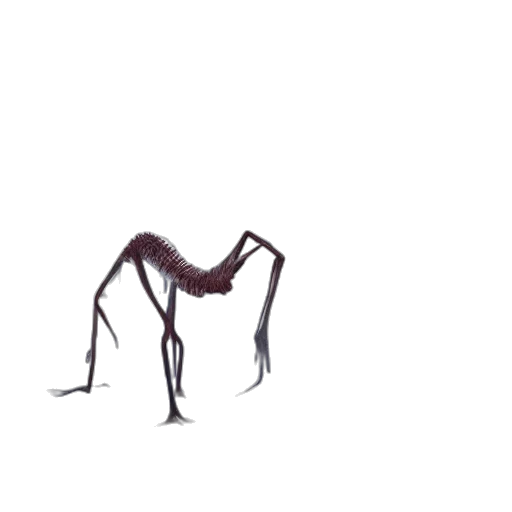 creature, hair, animal, shoes, concept art, pixel art, watercolor, 3d render transparent PNG cut-out