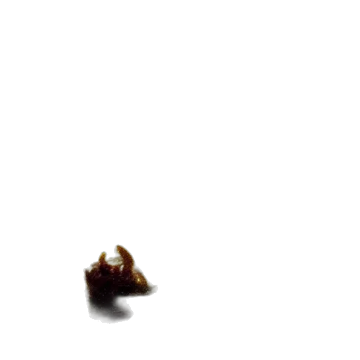 crown, food, hair, dragon, pixel art, concept art, 3d render, photorealistic transparent PNG cut-out
