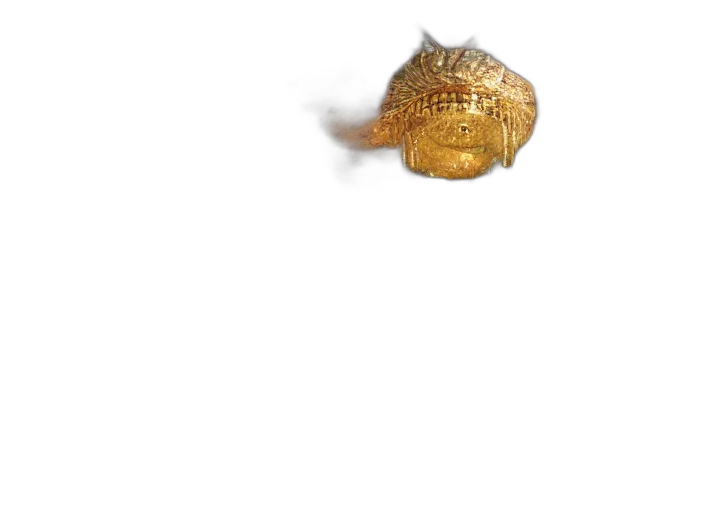 animal, creature, hat, dragon transparent PNG cut-out