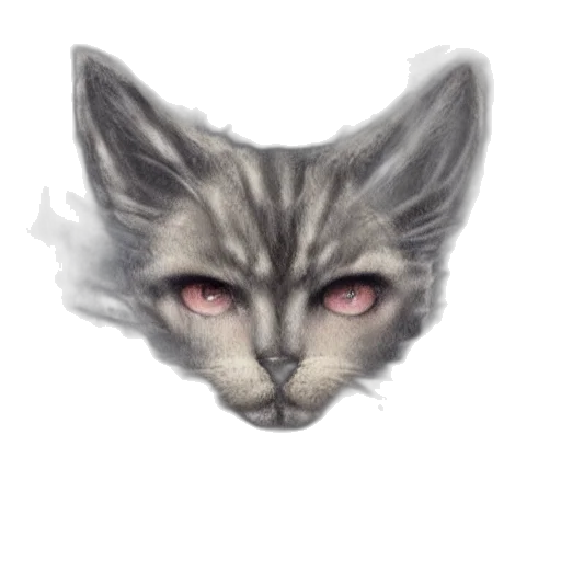 face, creature, mask, animal transparent PNG cut-out