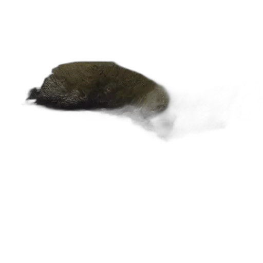 hat, animal, hair, creature, photorealistic, 3d render, concept art, watercolor transparent PNG cut-out