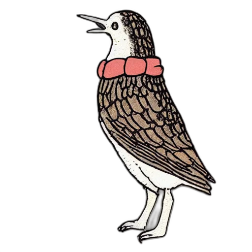dress, animal, jacket, staff transparent PNG cut-out