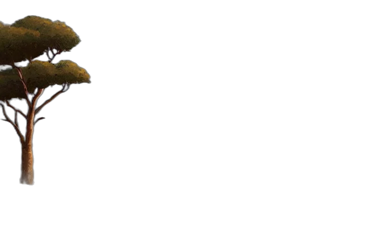 shoes, hat, crown, staff transparent PNG cut-out