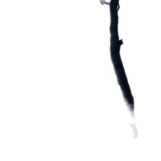 staff, sword, weapon, hair transparent PNG cut-out