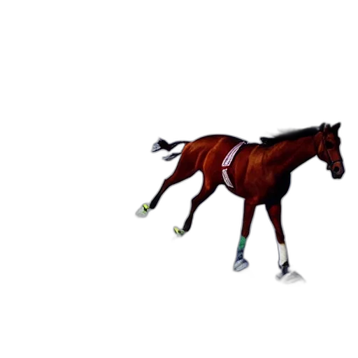 animal, creature, staff, shoes, pixel art, photorealistic, concept art, 3d render transparent PNG cut-out
