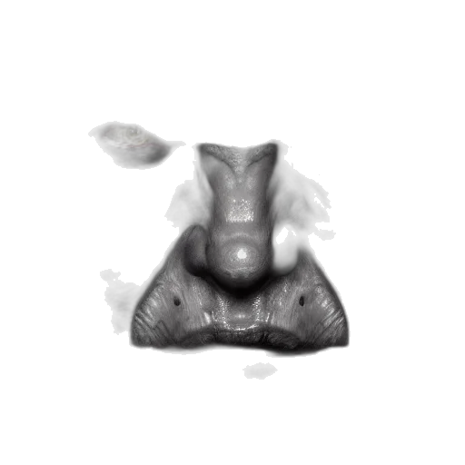 mask, face, animal, crown transparent PNG cut-out