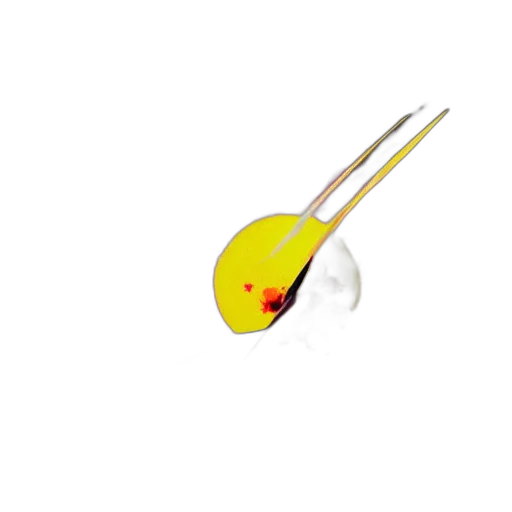 staff, weapon, sword, umbrella transparent PNG cut-out