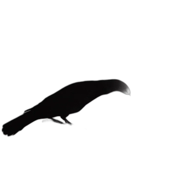 animal, creature, staff, hair, concept art, photorealistic, pixel art, 3d render transparent PNG cut-out