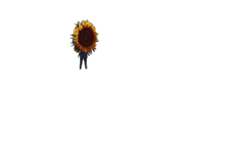 flower, staff, crown, hair transparent PNG cut-out