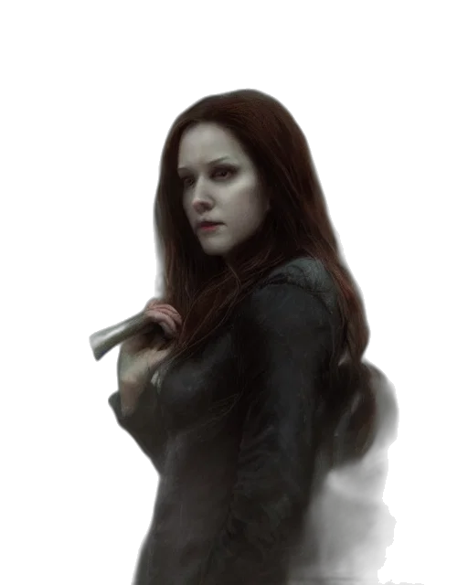weapon, jacket, staff, sword transparent PNG cut-out
