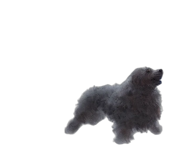 hair, creature, animal, dragon, photorealistic, 3d render, concept art, fog transparent PNG cut-out